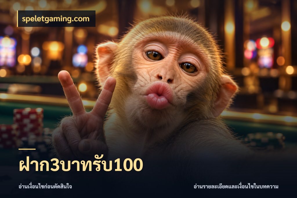 ฝาก3บาทรับ100 speletgaming.com เปิดมุมโปรให้เข้ากับเกมแนวโปรด