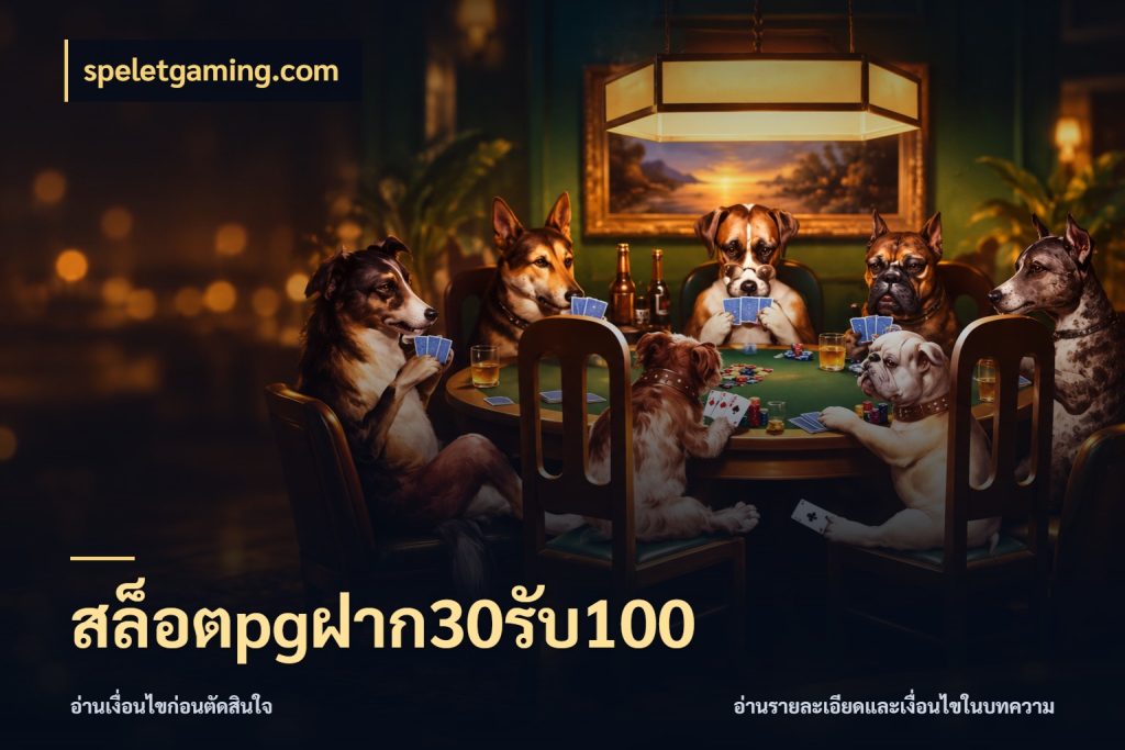 สล็อตpgฝาก30รับ100 รูปแบบโบนัสกับสิทธิ์ของสายเกม สไตล์ speletgaming.com