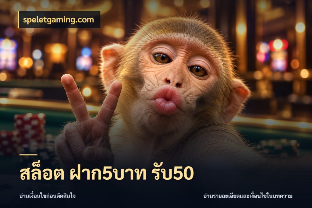 สล็อต ฝาก5บาท รับ50 เปิดมุมโปรให้เข้ากับเกมแนวโปรด กับ speletgaming.com