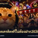 สล็อตเครดิตฟรีไม่ต้องฝาก2020